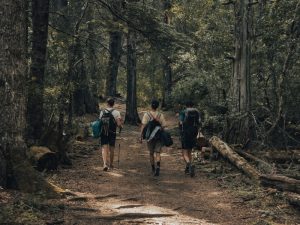 A group of men trekking as part of their walking for weight loss plan, staying active outdoors.